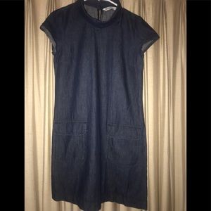 Zara Basic Denim Dress